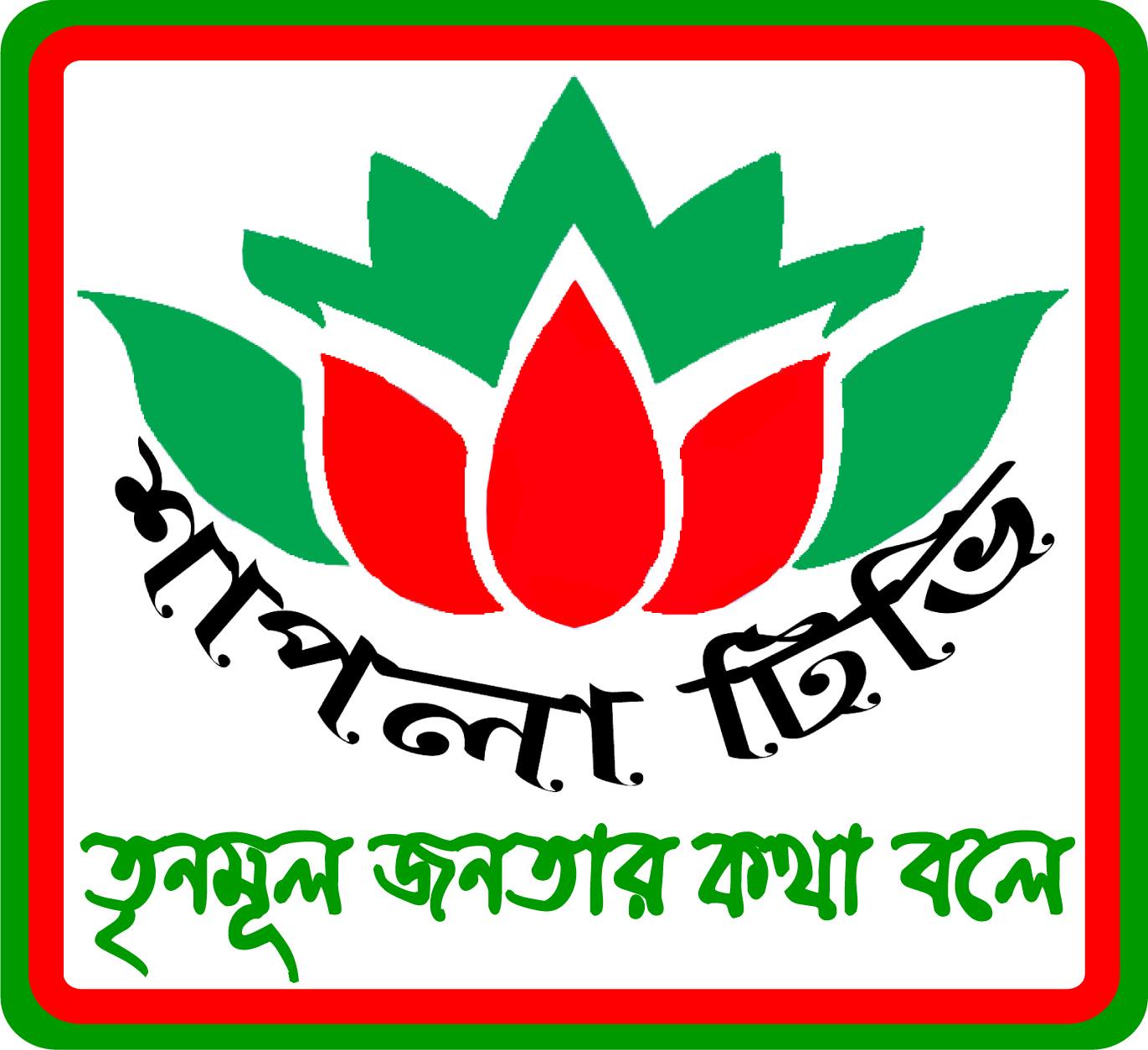 শাপলা টিভি