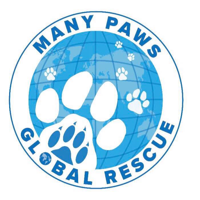 Many Paws Global Rescue added a... - Many Paws Global Rescue