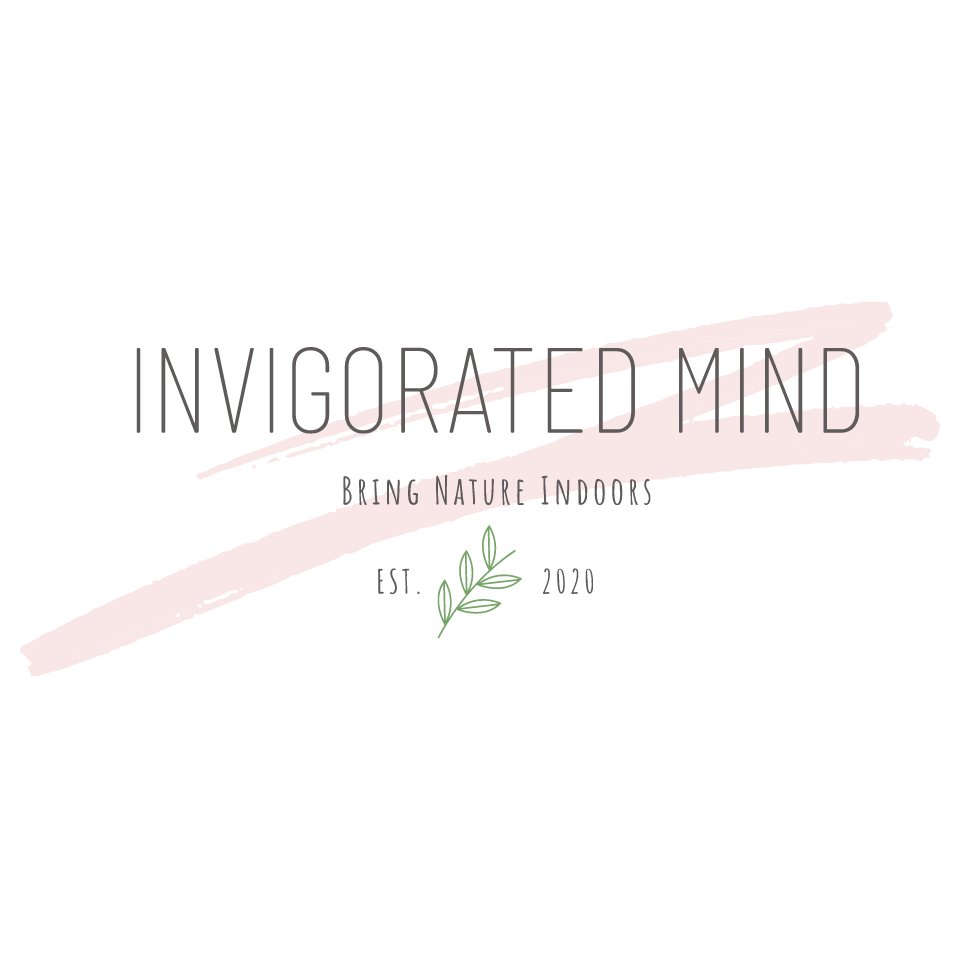 This vibrant colored plant is known as... - Invigorated Mind | Facebook