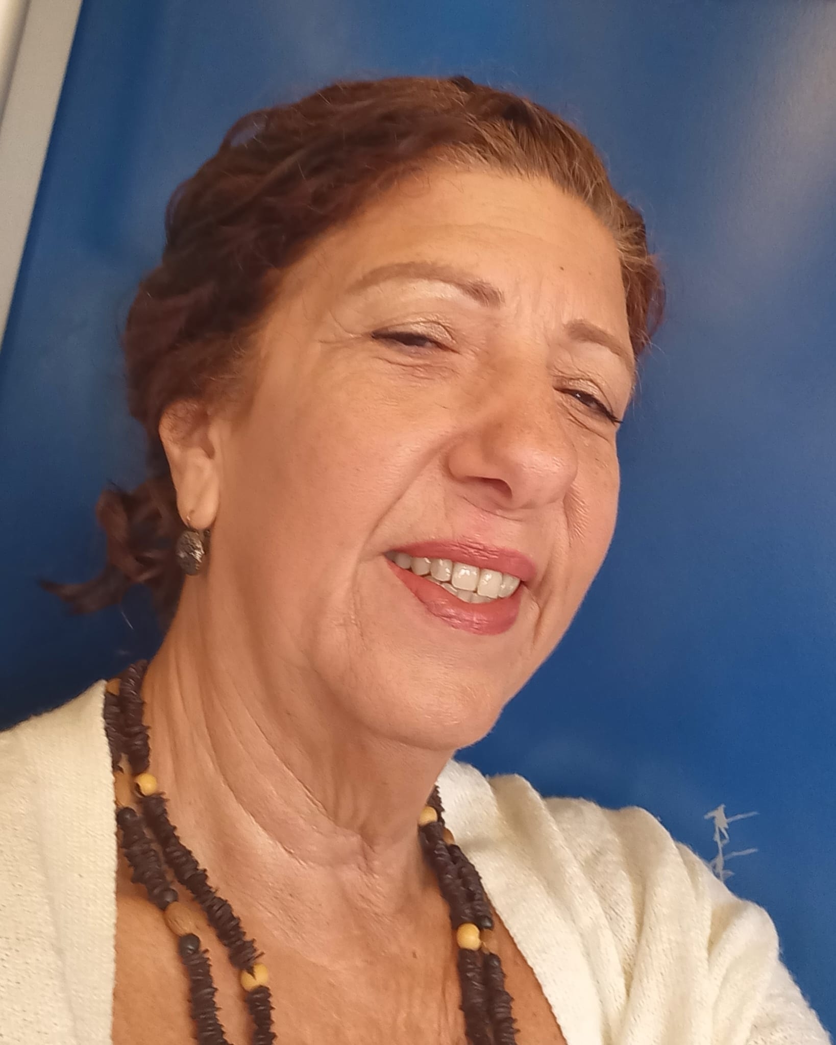 Fátima R Brandão