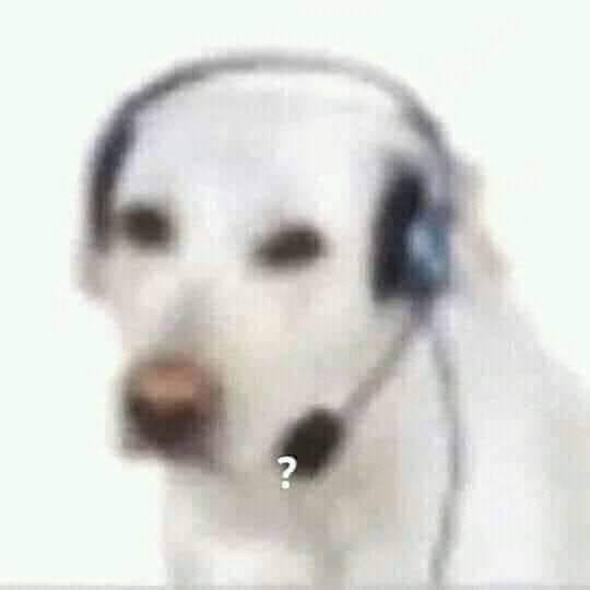 Memes y shitpost rancio xd