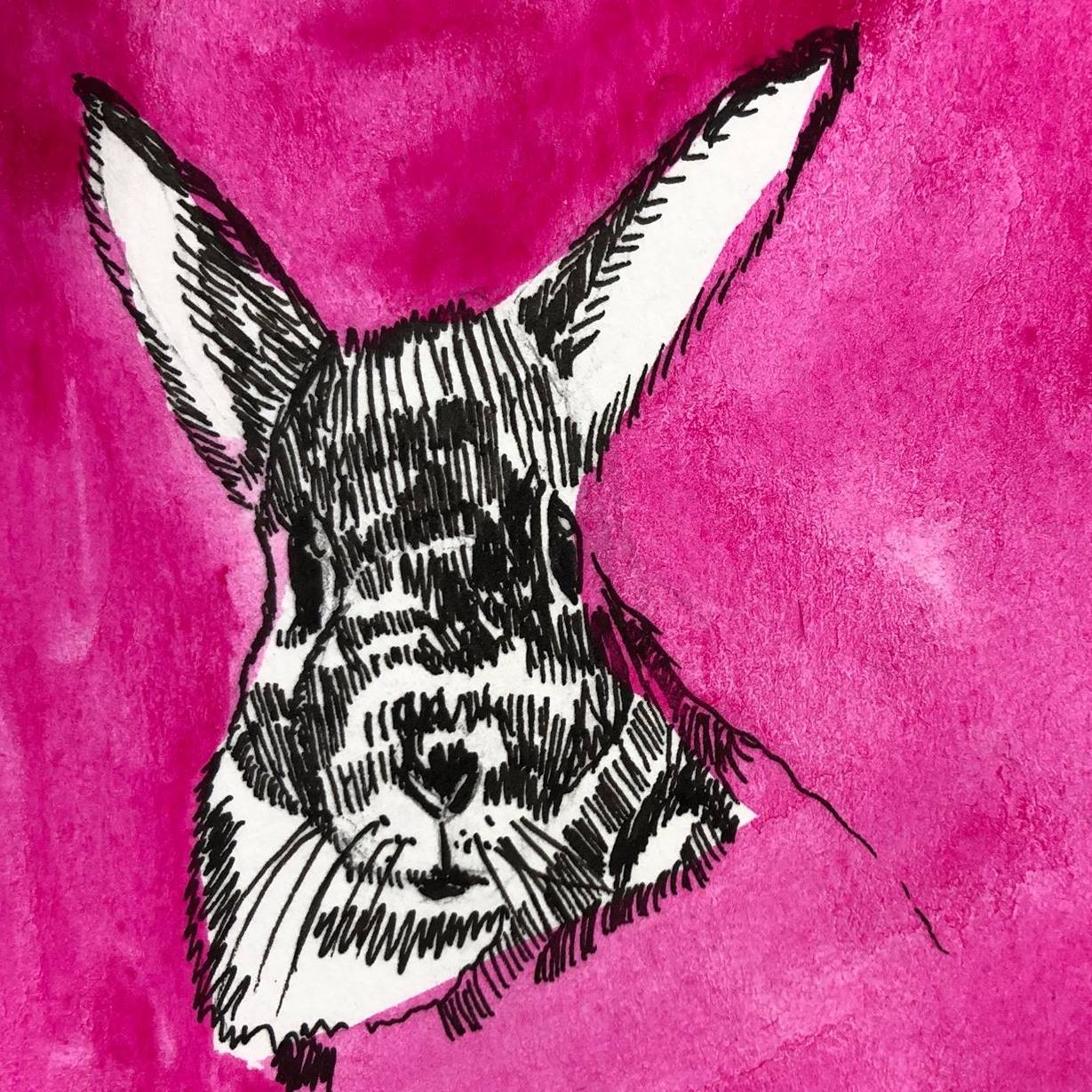Recovery_Rabbit - In art history, the rabbit is a symbol... | Facebook