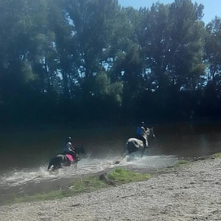 Partageons nos sentiers..à cheval