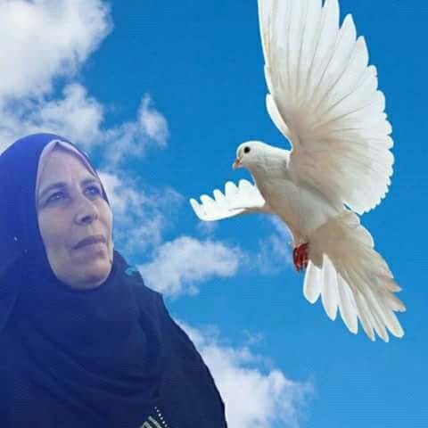 امى الغالية واحشينى