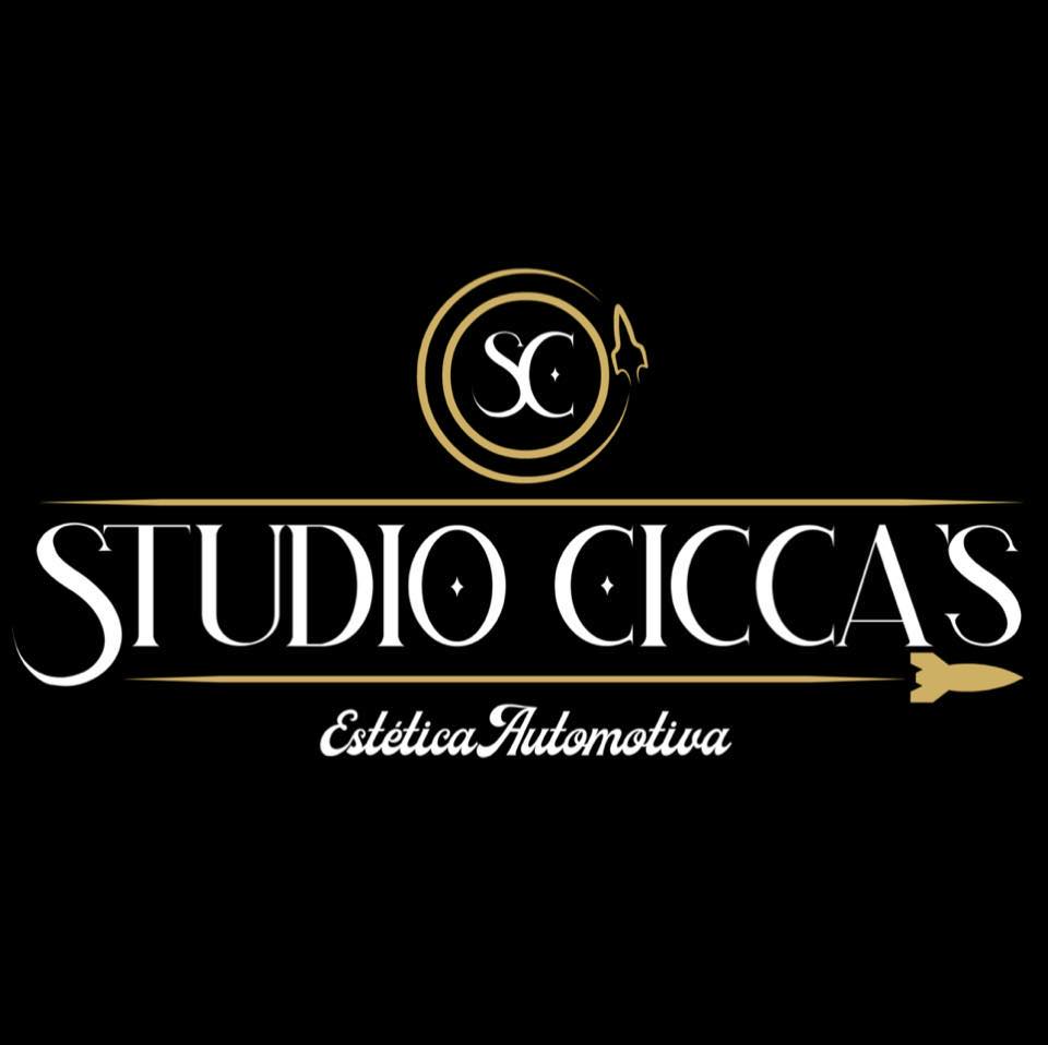 Lavar o carro com Snow Foam é a melhor coisa desse mundo! | Studio Cicca's
