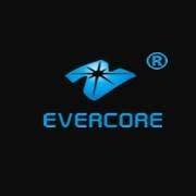 Evercore Optoelectronic Technology