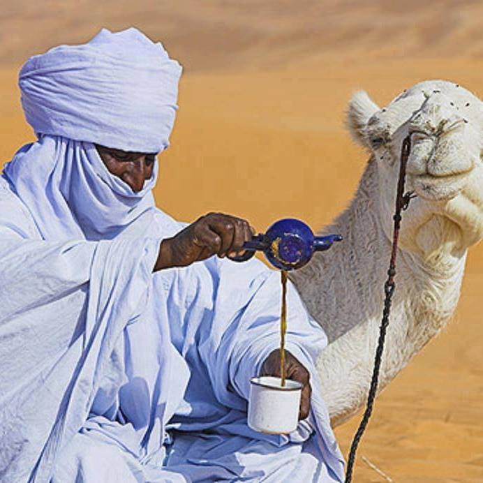 صحراء بلادي . وادي ر يغ