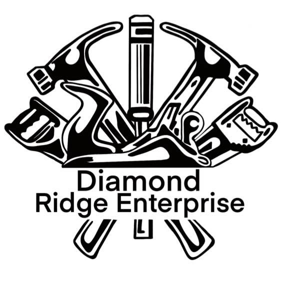 Diamond Ridge Enterprise, LLC | Ludowici GA