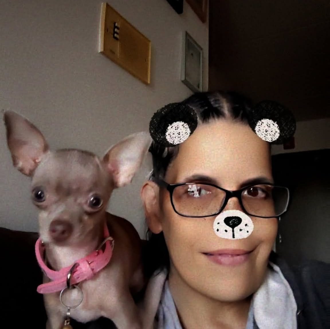 Chihuahua Lovers on Reels | Facebook