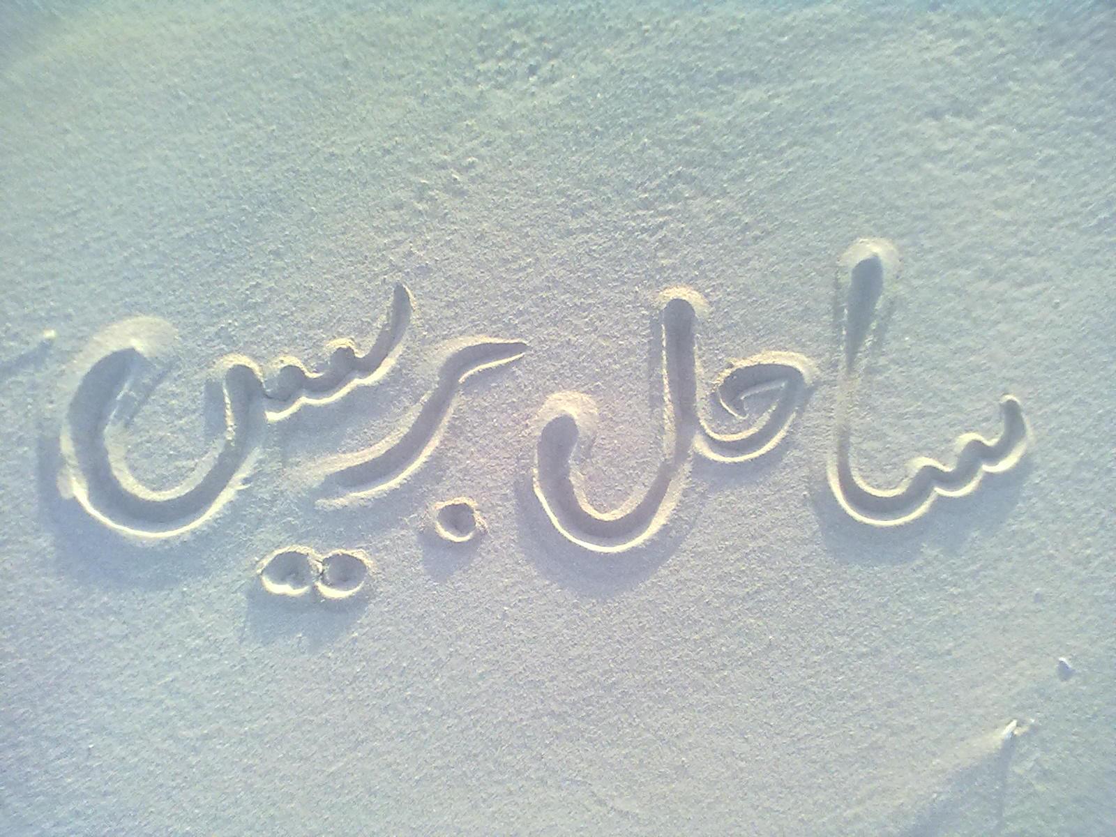 ساحل