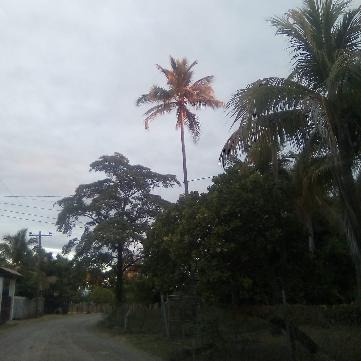 La playa punta ratón
