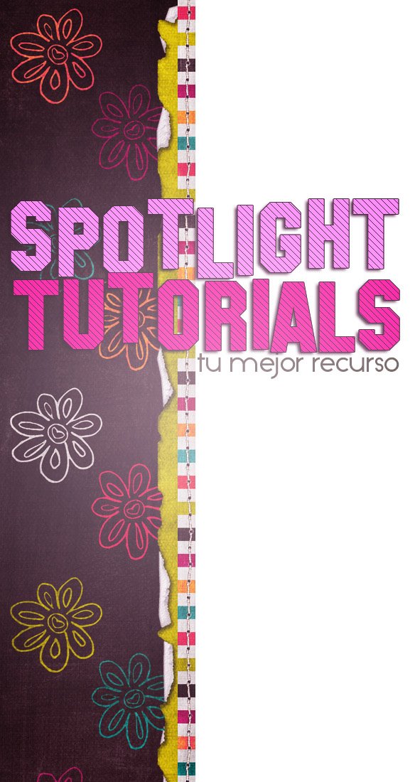 Spotlight Tutorials