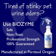 Cleaners-r-us.com | Portland OR