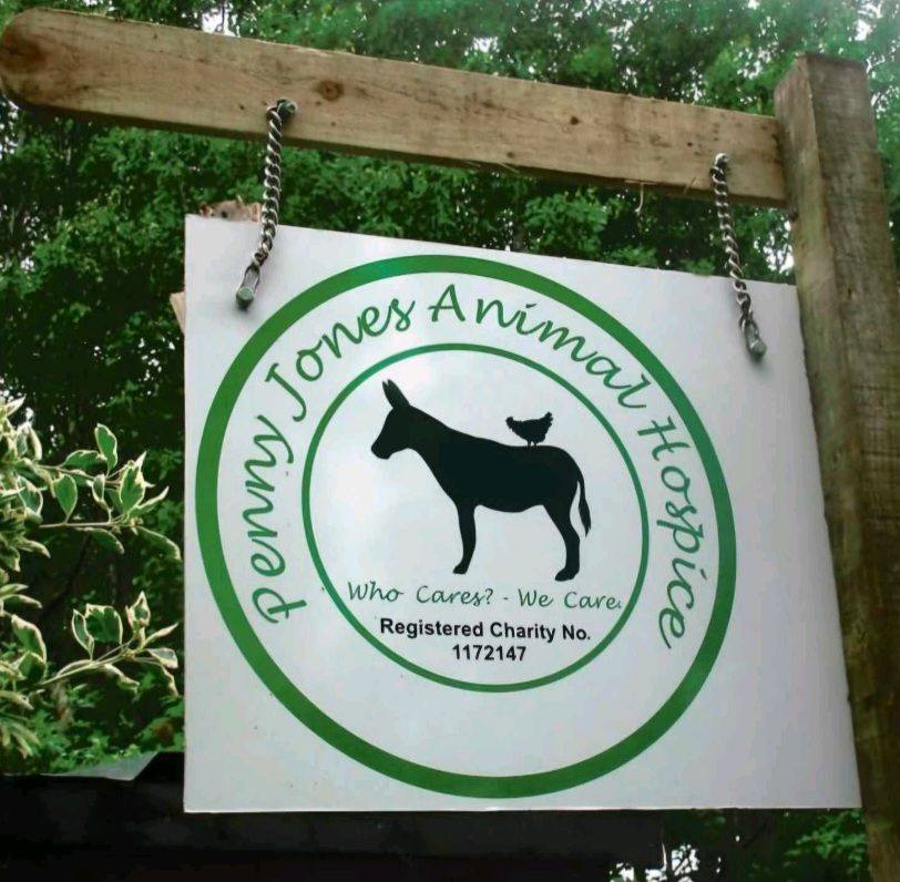 Penny Jones Animal Hospice Charity Shop - The beautiful Rory is our dog ...