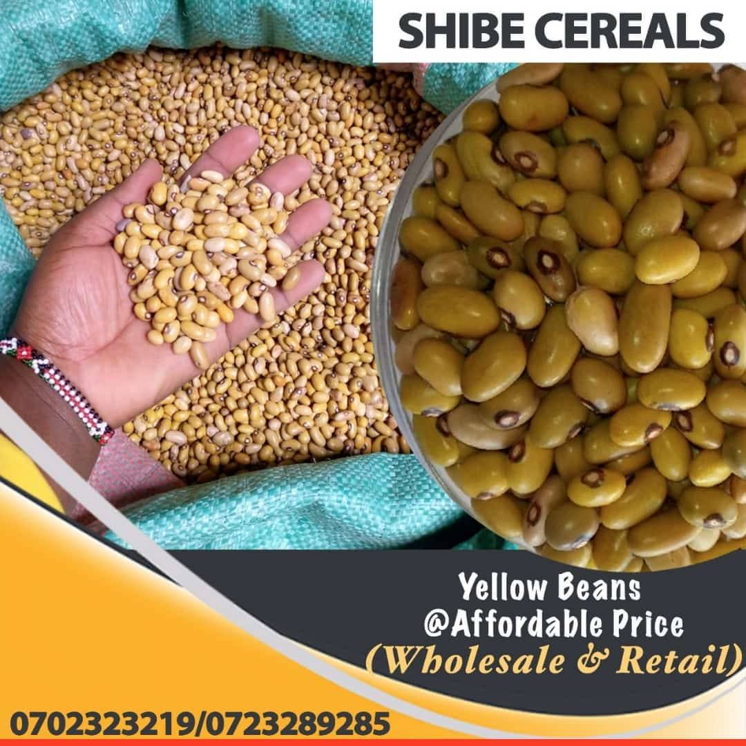 Shibe cereals