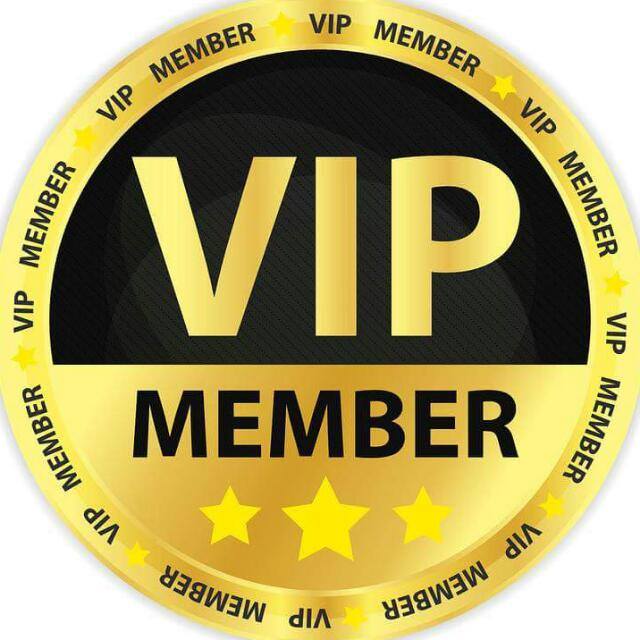 VIP team