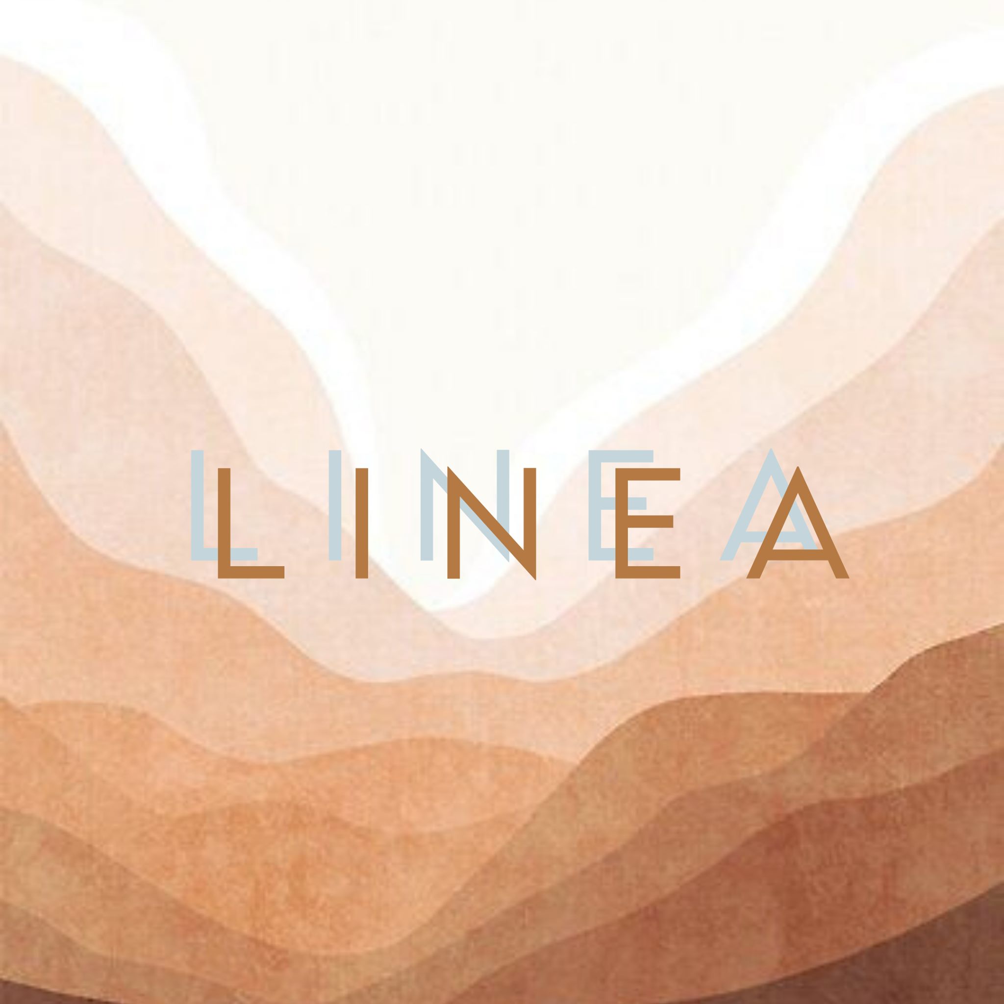 LINEA designs