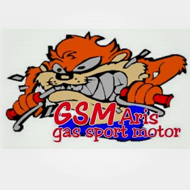 GSM Racing Team46