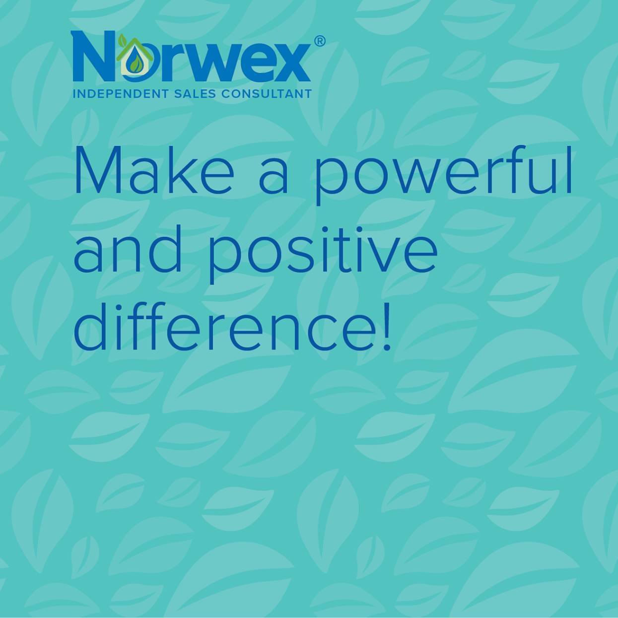 Jessica Neau - Norwex Independent Consultant