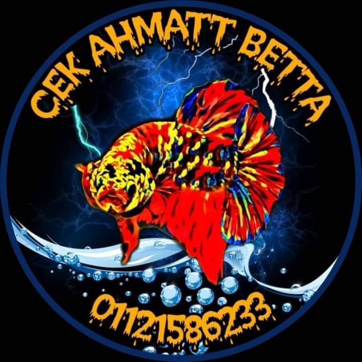 CEK MATT BETTA