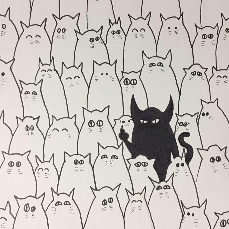 Meshuggah The Cat