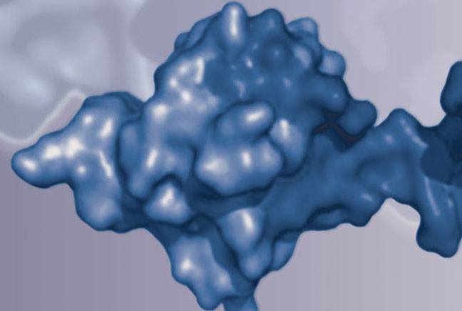 Boston Biochem, Leader in Ubiquitin Related Research | Cambridge MA