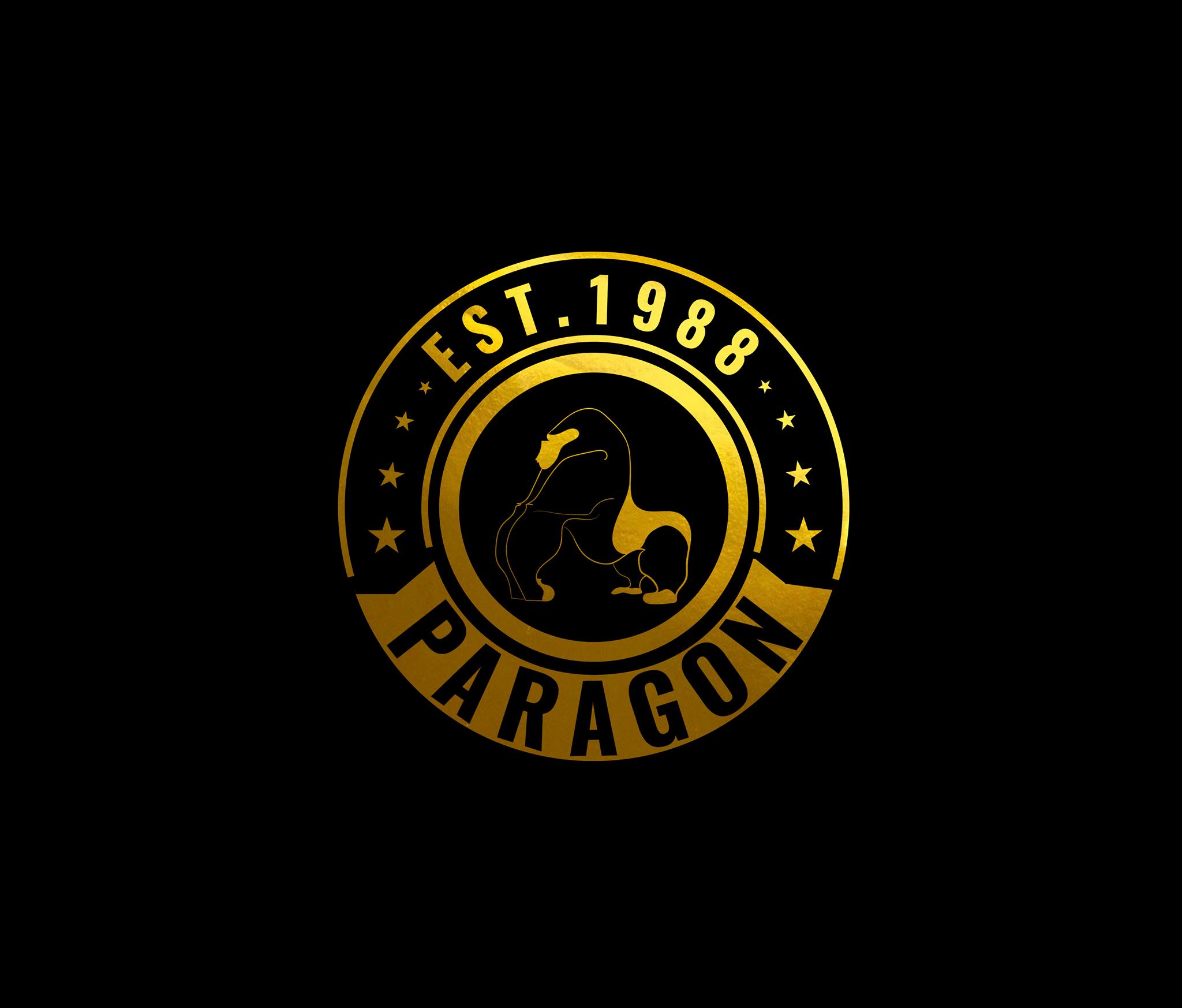 Paragon Designs