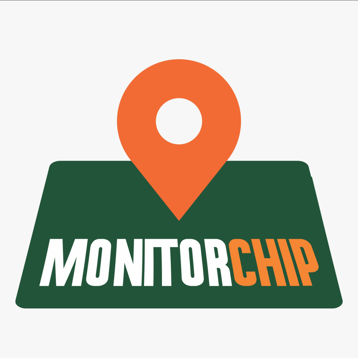 Monitor Chip