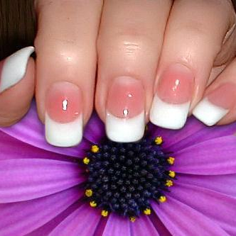 Sitemapcdatahttpautocellcare1comexquisite Nails East Greenbush
