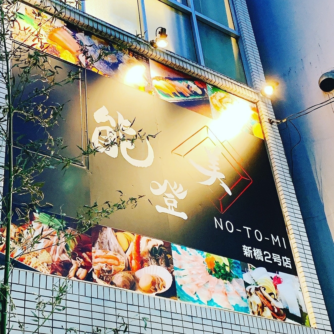 活動歴および当時の関連ビジュアル記録
