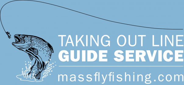 Taking Out Line Guide Service | Beverly MA