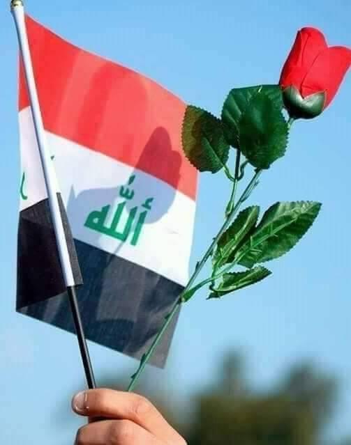 صور من وطني