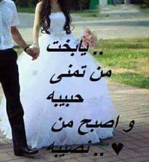 أ مير أ حلامي