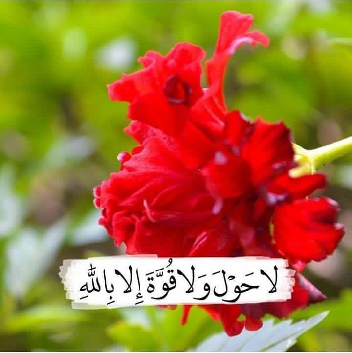 ئاشــتــی بـــۆ هـــه مـووان