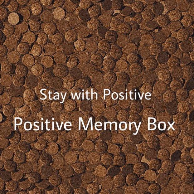 Positive Memory Box
