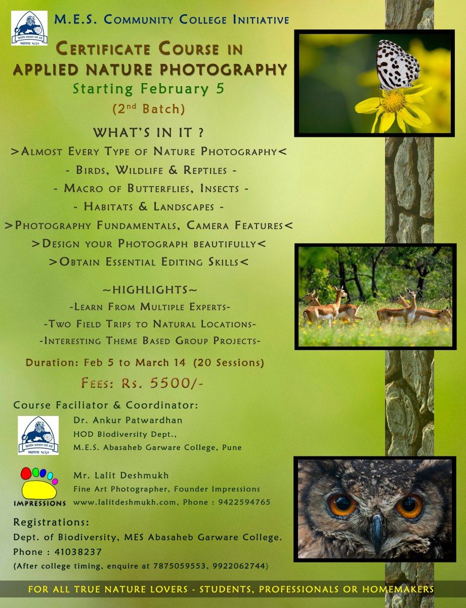 Applied Nature Photography Course | Pune