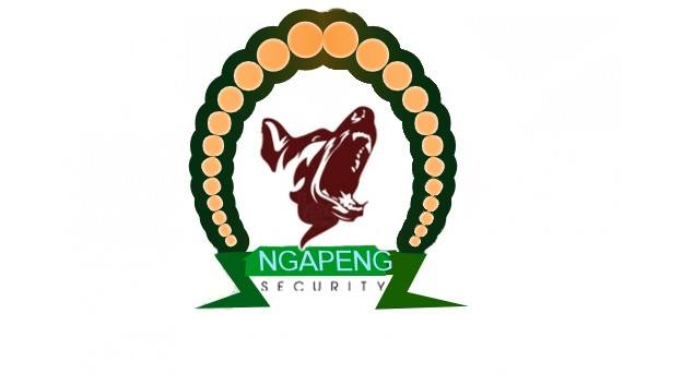 Ngapeng Security Services