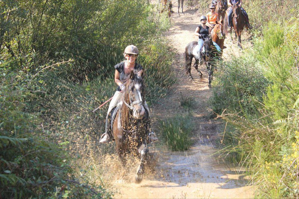 Algarve Riding Holidays | Silves