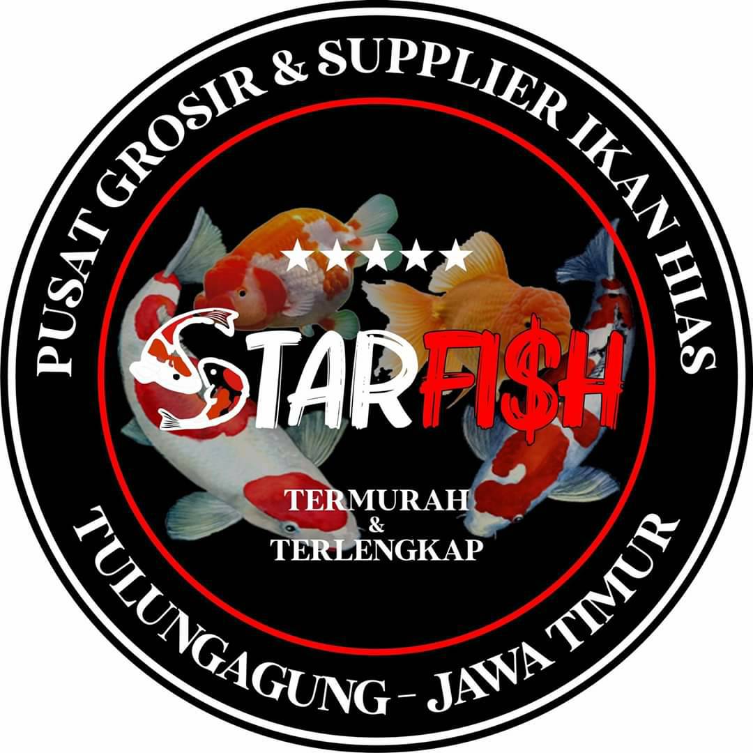 ️‍🔥RED YANG MENYALA, WHITE YANG MEMIKAT! ️‍🔥 Sebuah mahakarya dalam ...