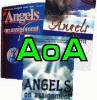 Angels On Assignment - Official Book