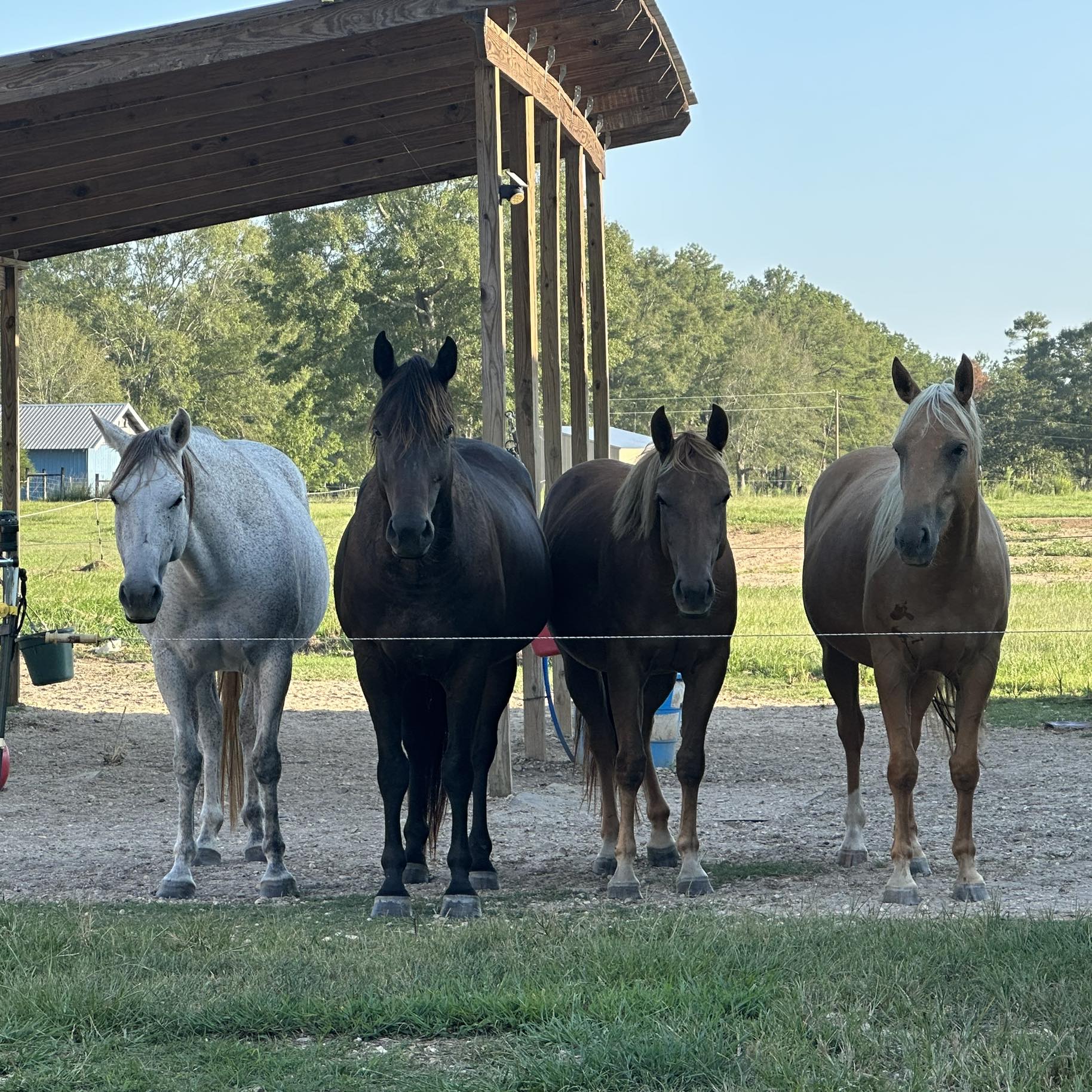 Twisted M Ranch LLC | Franklinton LA