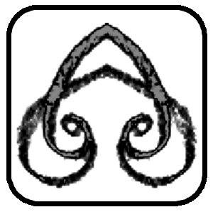 Ordo Octopia