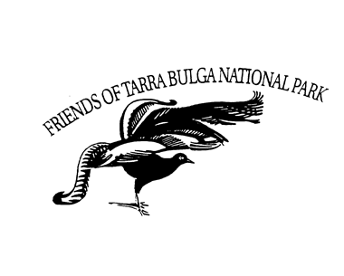 Friends of Tarra Bulga National Park | Balook VIC