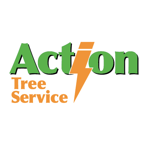 Action Tree Service | Seligman MO