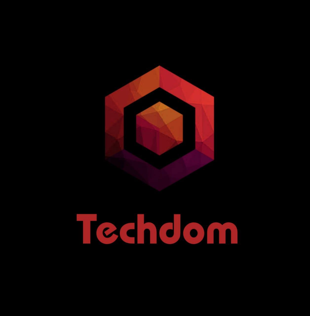 Techdom - Perspectives Beyond Tech