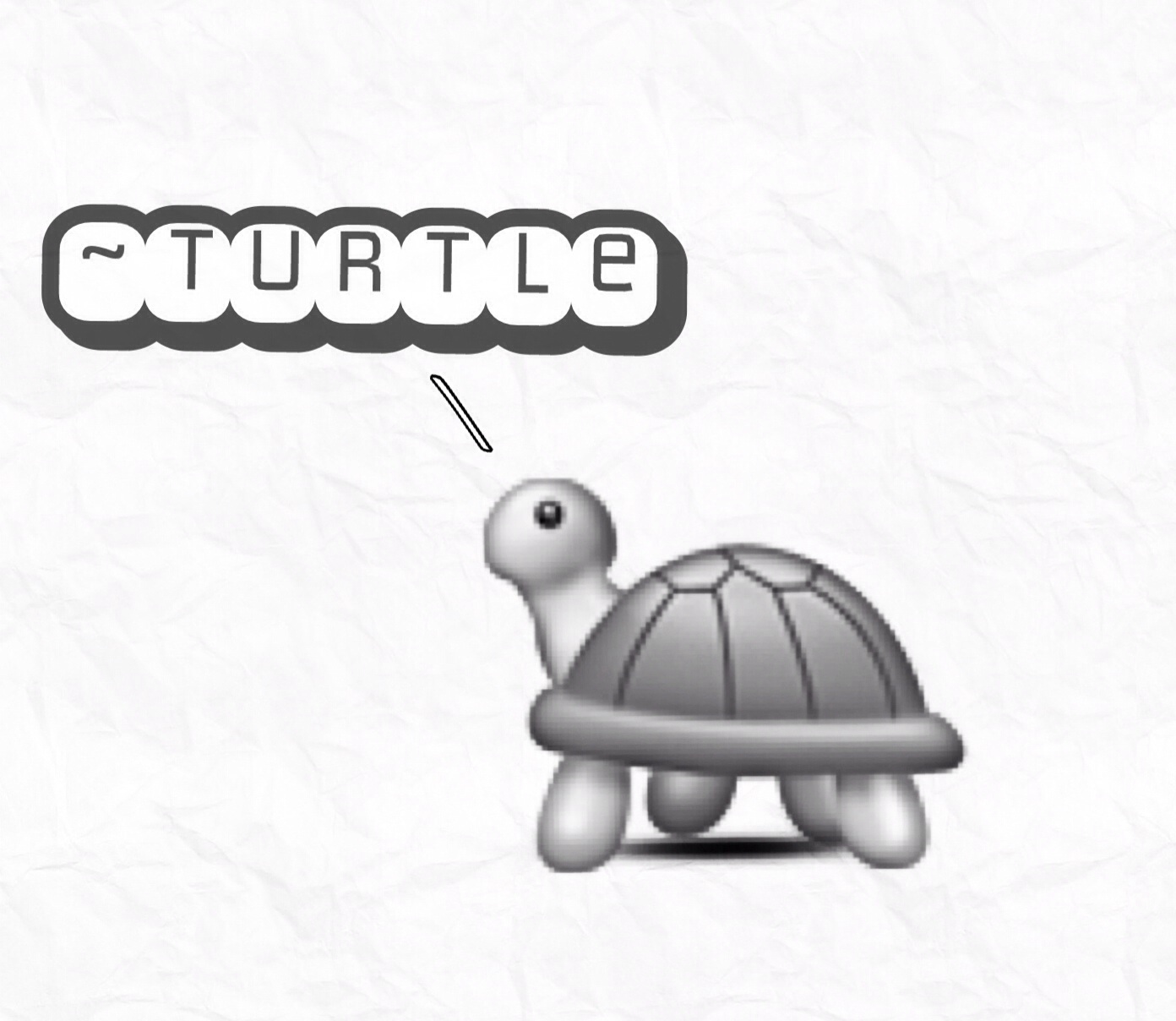 Turtle