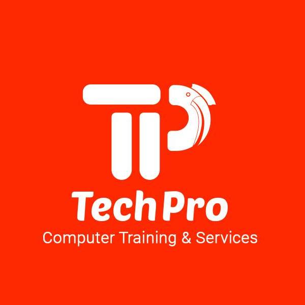 TechPro - Chin State