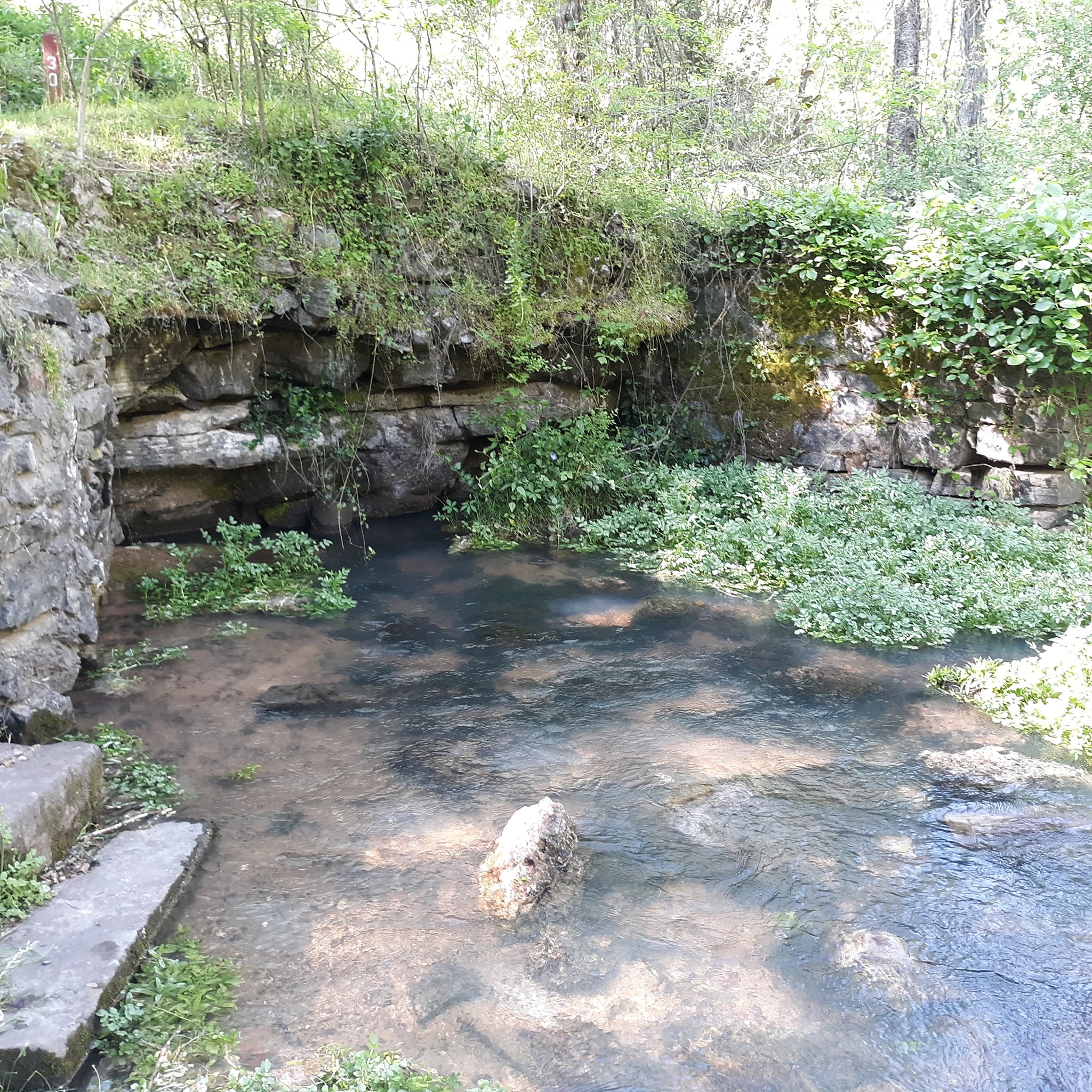 Spring Bank | Kingston GA