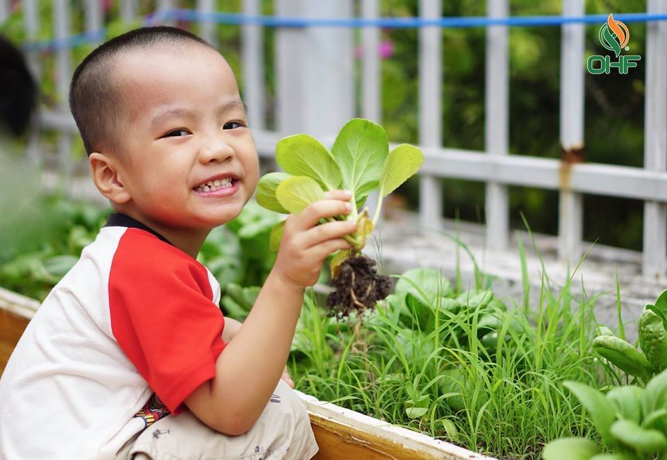 Trồng Rau OHF - www.trongrau.vn | Hanoi