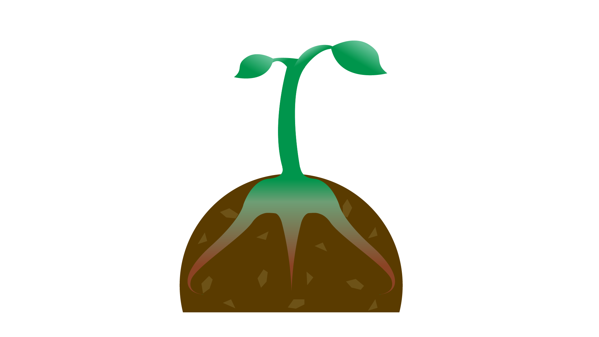 Third Root Media